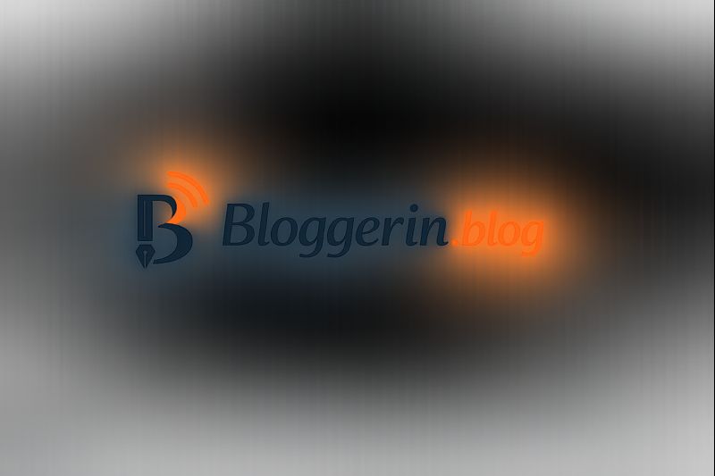 logo blogerrin